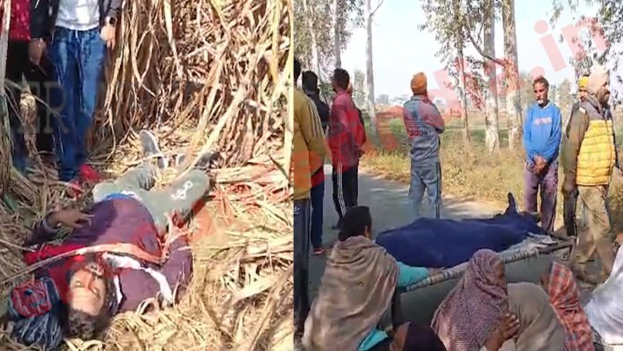 Punjab news: खेत में मिला युवक का शव, गांव के 2 युवकों पर लगे हत्या के आरोप, देखें Video