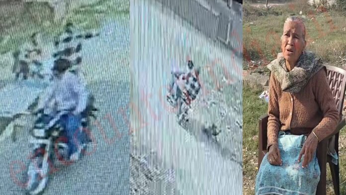 Jalandhar News: दिन दहाड़े घर के बाहर से महिला की बालियां छीनकर स्नेचर फरार, देखें CCTV