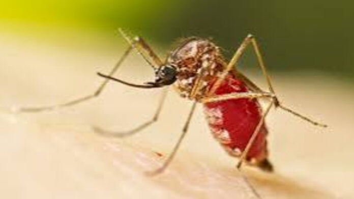 InShot_20251030_092750821