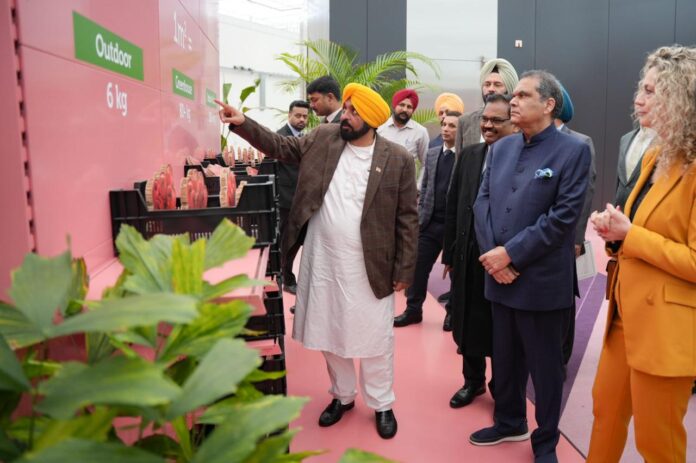 CM ਭਗਵੰਤ ਮਾਨ ਨੀਦਰਲੈਂਡ ਵਿੱਚ ਹੌਰਟੀਕਲਚਰ ਸੈਂਟਰ ਦਾ ਦੌਰਾ ਕਰਦੇ ਹੋਏ